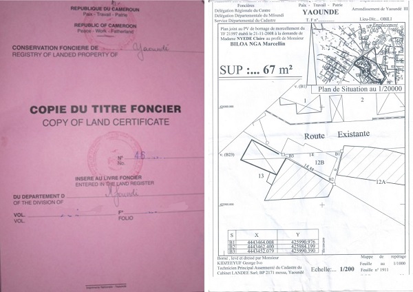 Procédure d'immatriculation de terrain au Cameroun