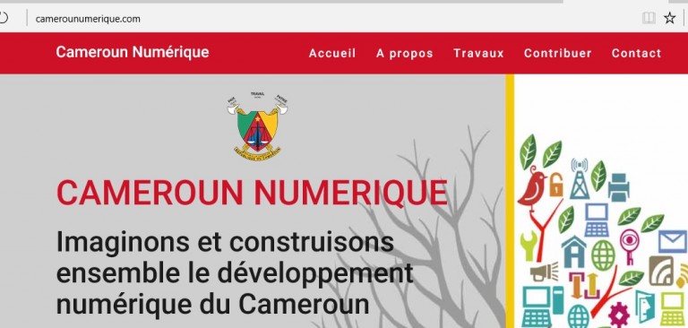 Deux entités pour la définition du plan numérique du Cameroun