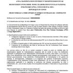 PNS Congo Digital