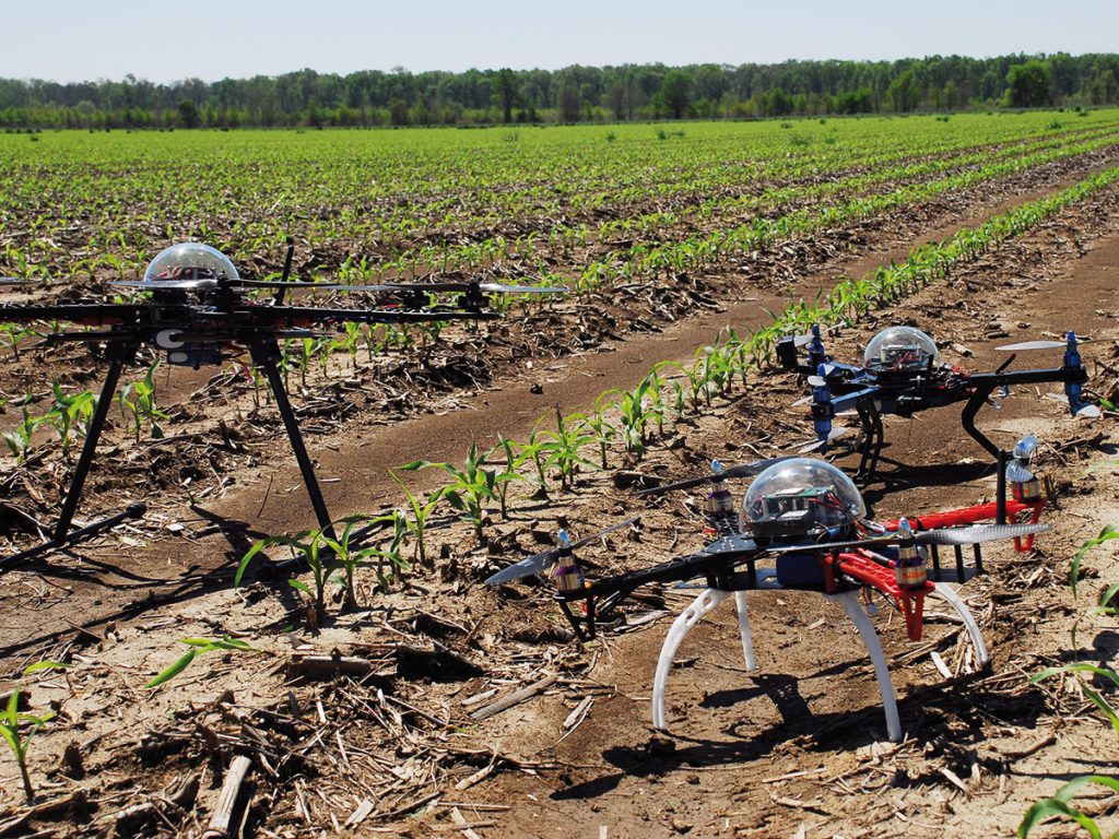 Tunisie : Des drones pour améliorer la productivité agricole