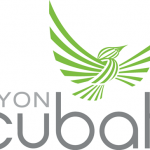 Halcyon-incubator-program-2018