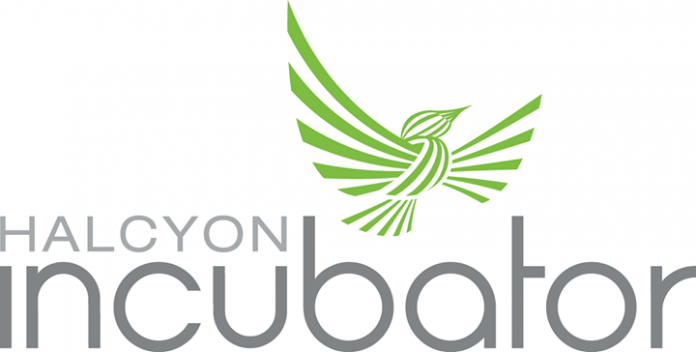 Un éditeur nigérian sélectionné comme finaliste de la bourse Halcyon Incubator à Washington