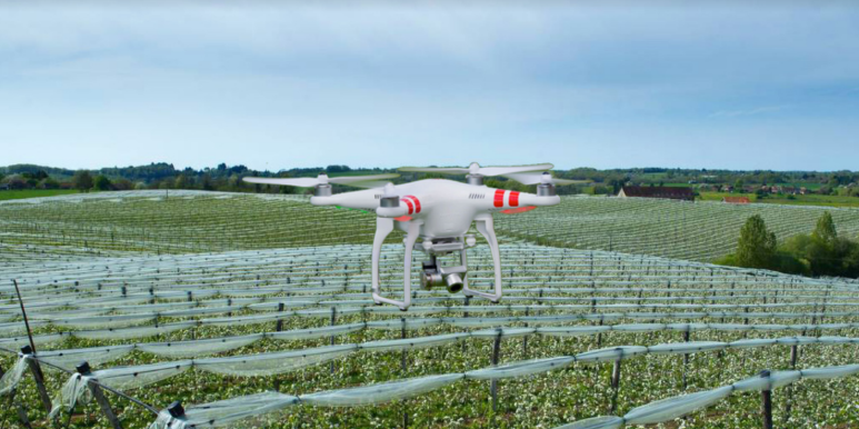 E-agriculture : La Tunisie va utiliser les drones pour la sécurisation de ses récoltes