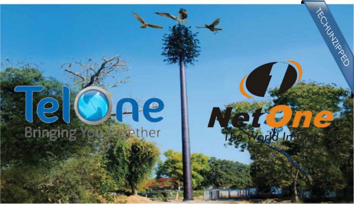 Zimbabwe : Le gouvernement envisage de privatiser TelOne et NetOne avant la fin 2019