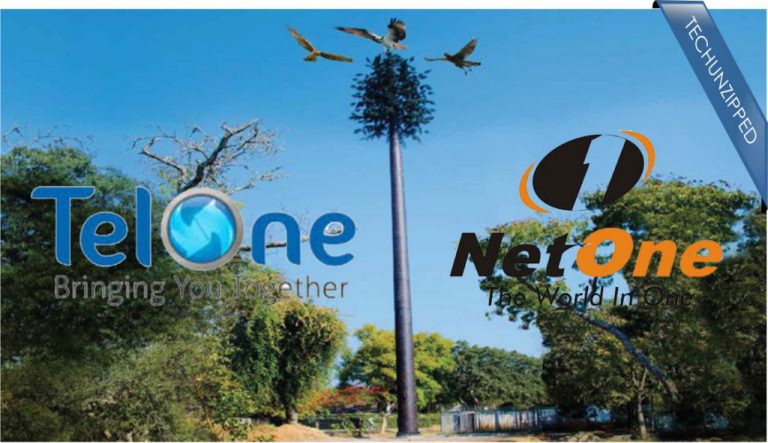 Zimbabwe : Le gouvernement envisage de privatiser TelOne et NetOne avant la fin 2019