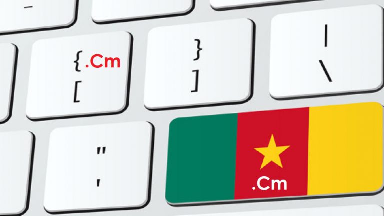 Cameroun : Baisse drastique du nombre d’enregistrements des noms de domaine en .Cm passant de 135 000 en 2017 à 39 000 en 2020