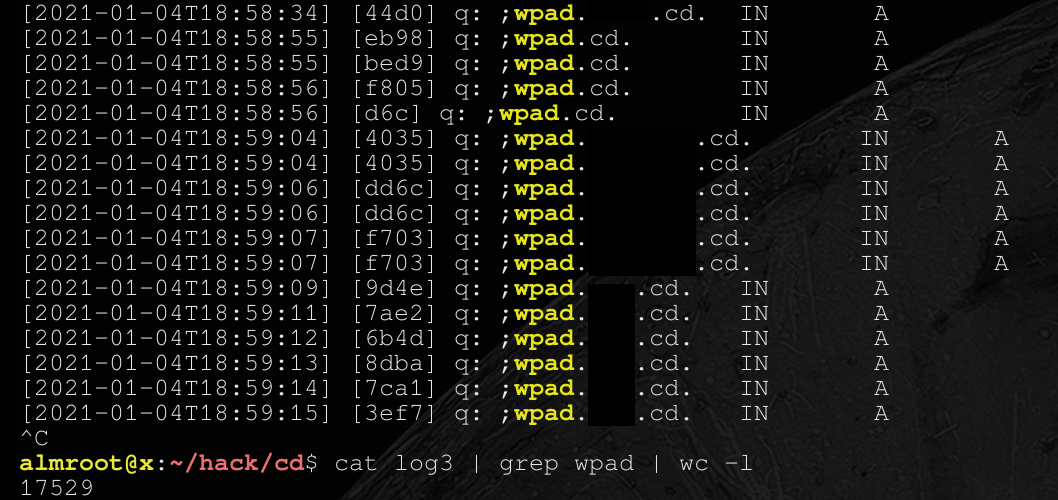 wpad dns hijack