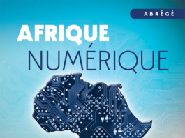 Afrique numérique : Les technologies numériques offrent de nouvelles opportunités [Rapport]