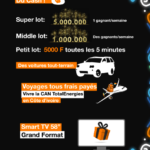 Lot Orange CM