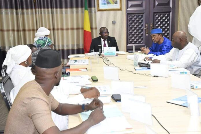 Mali : L’ Agetic veut promouvoir le .ml en 2024