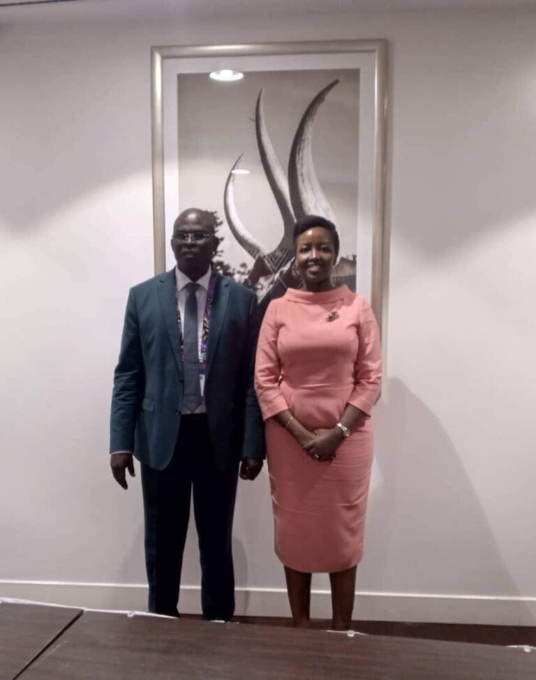 Internet : L’implication du Tchad au Sommet ICANN80