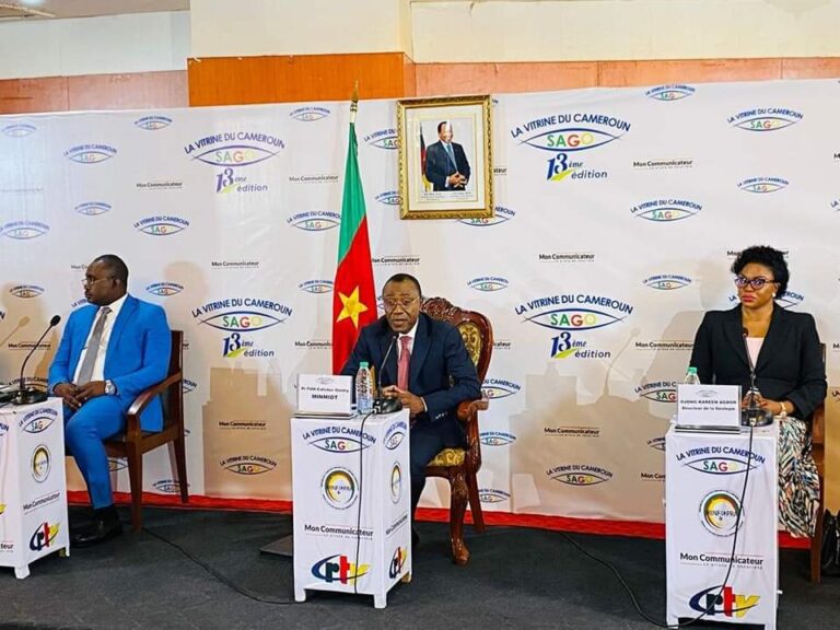 Cameroun : Le MINMIDT va créer des technopoles digitaux pour soutenir la recherche dans le domaine minier et offrir des emplois aux jeunes