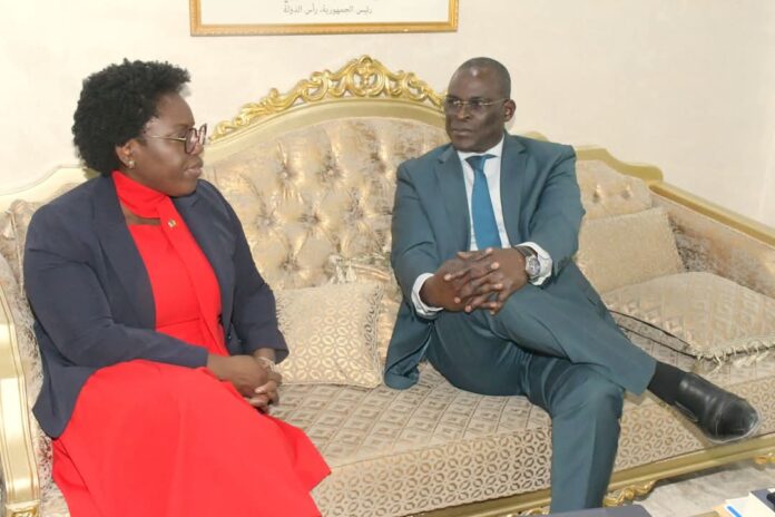 Coopération : Le Tchad et le Canada envisagent une collaboration dans les communications et le numérique