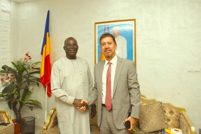 Tchad: Un forum sur l’intelligence artificielle avec l’appui du PNUD en gestation