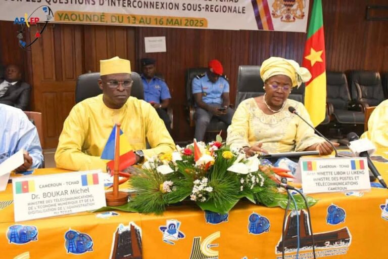 Minette Libom Li Likeng et Michel Boukar rebattent les cartes de la coopération numérique Cameroun-Tchad