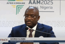 Meet Dr. George Elombi, the Cameroonian Now Heading Afreximbank and Driving Its Digital Agenda Meet Dr. George Elombi, the Cameroonian Now Heading Afreximbank and Driving Its Digital Agenda