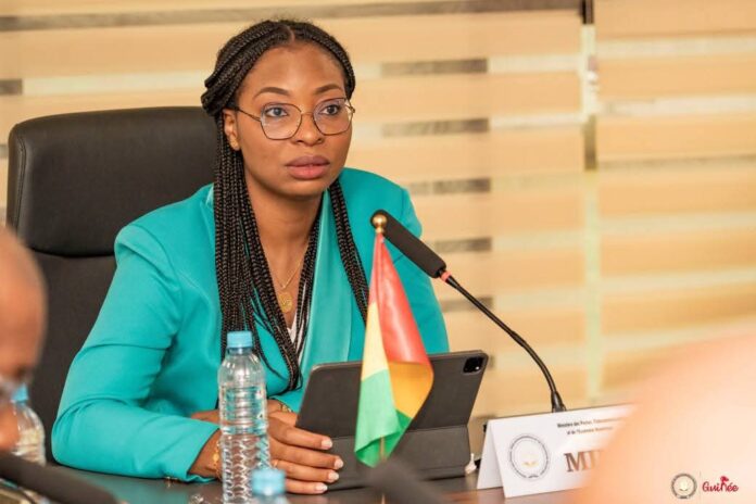 Guinée : La plateforme numérique TELEMO, opérationnelle pour la consultation en ligne des appels d’offres publics