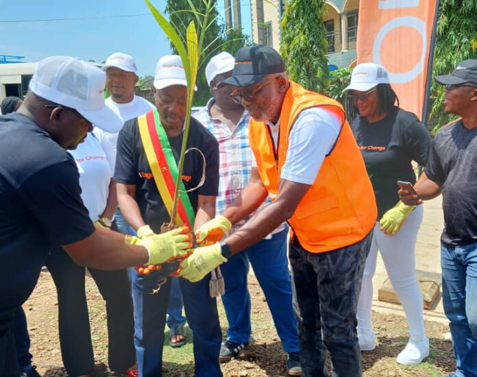 Limbé 2 devient “Green City” : Orange Cameroun poursuit son programme de reforestation urbaine