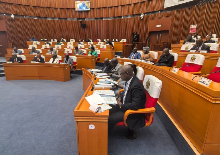 Congo : Le Sénat vote 2 lois sur le Projet d’accélération de la transformation numérique