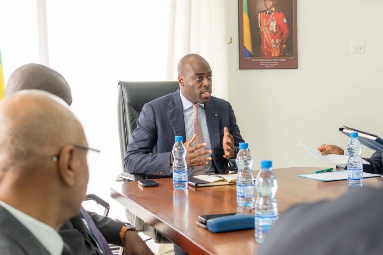 Gabon : Après 100 jours au ministère chargé du Numérique, Mark-A. Doumba revendique des actions majeures pour accélérer la transformation numérique