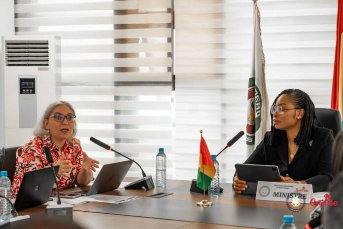 Guinée : Le Transform Africa Summit en approche, vers une collaboration avec Smart Africa