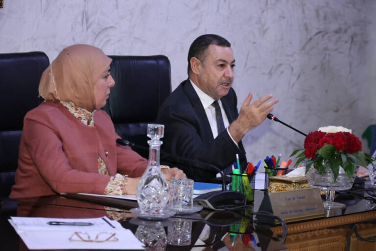 Algérie : Le Comité scientifique et technique du Haut Commissariat à la numérisation inauguré pour accélérer la stratégie numérique 2030