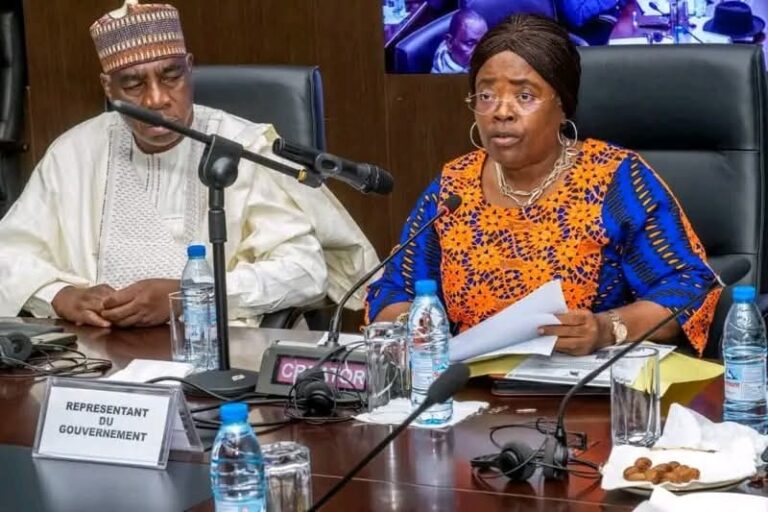 Cameroun : 29,2 milliards de FCFA pour le numérique en 2026, « insuffisant ! » [Attentes de la population et ministères surcotés]