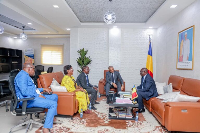 Afrique centrale : L’ ARTAC prépare une cartographie des infrastructures à fibre optique