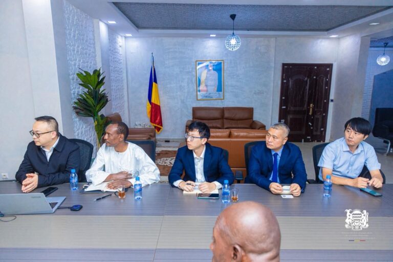 Tchad : Une multinationale dédiée aux NTIC prospecte le secteur de l’éducation