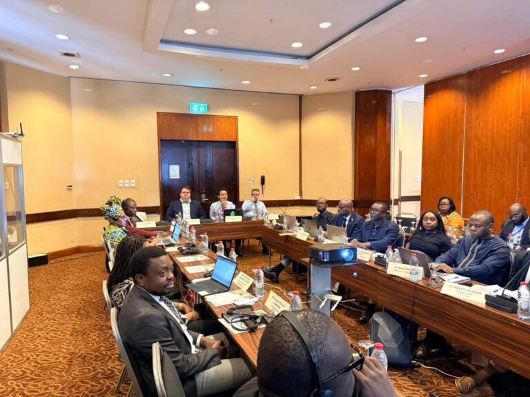 Inclusion financière : Le FMI, la COSUMAF et la BEAC analysent l’impact des cryptoactifs et des monnaies numériques