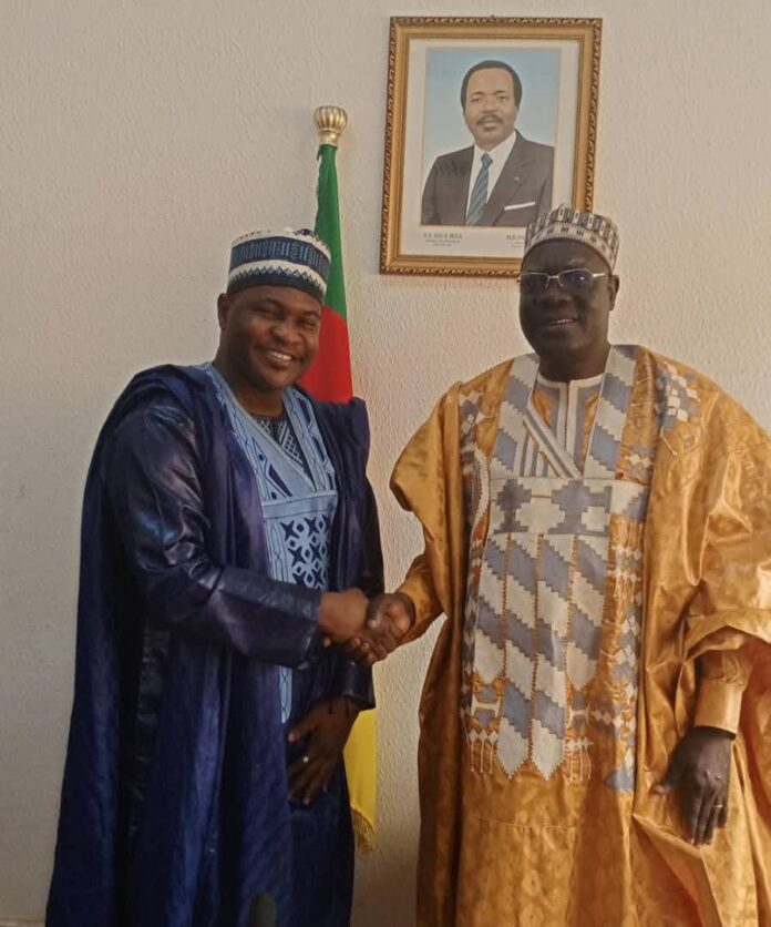 Cameroun: STUDENTZ , l’application qui veut faire ses classes dans le mentorat des CMPJ