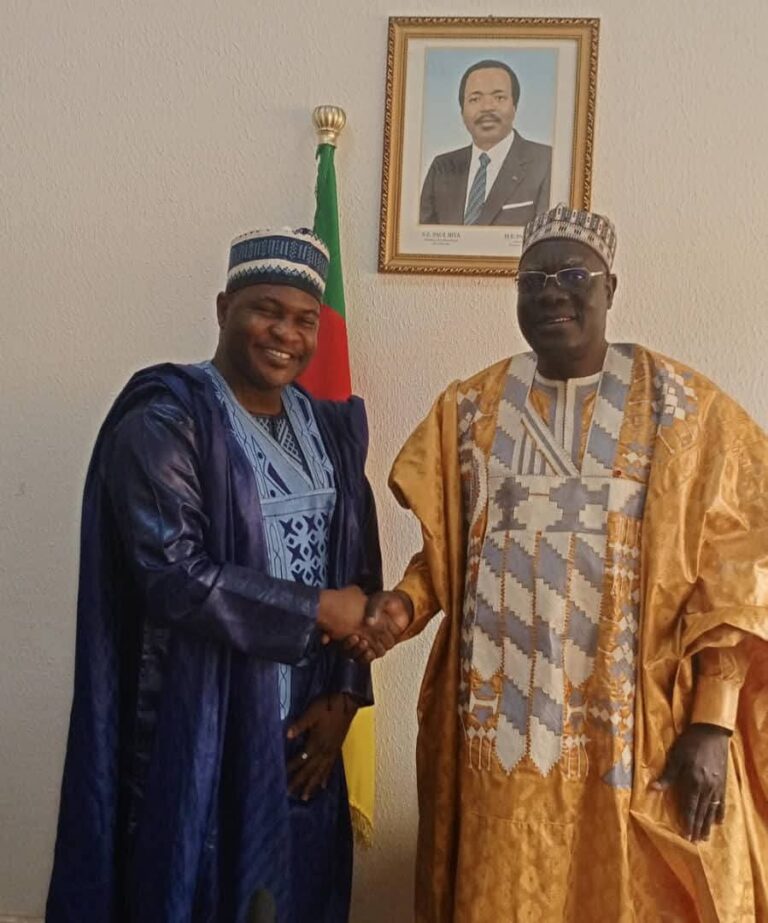 Cameroun:  STUDENTZ , l’application qui veut faire ses classes dans le  mentorat des CMPJ