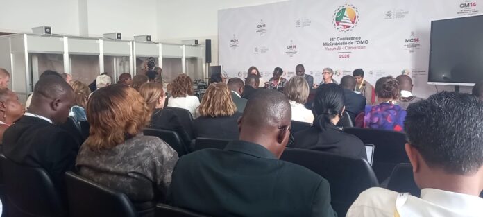 CM14 : Pression sur la levée du moratoire sur l’ E-commerce à Yaoundé