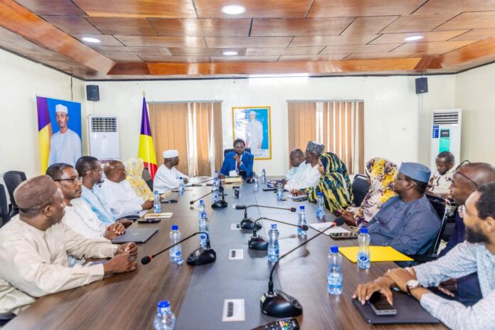 Tchad : 30 jours pour l’élaboration du Code du Numérique