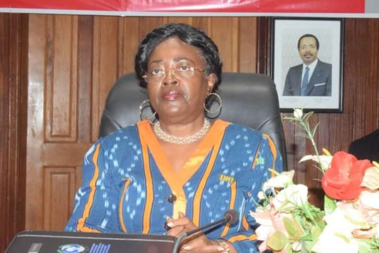 Cameroun : Le MINPOSTEL renforce sa stratégie de promotion d’un cyberespace plus apaisé