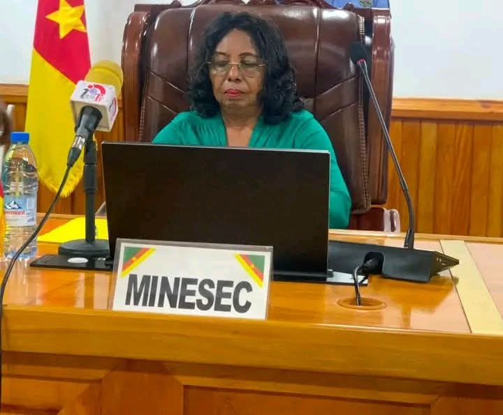 E-education/Cameroun : Le MINESEC valide la simulation IA [avantages et limites]